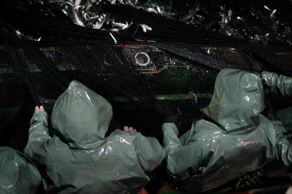 Belgesel fotoğrafçılık, gerçek hayattaki olayları ve durumları belgelemek amacıyla yapılan bir fotoğrafçılık türüdür. Bu türde fotoğrafçılar, toplumsal, kültürel, siyasi veya tarihi olayları belgelemek için kameralarını kullanırlar. Belgesel fotoğrafçılık, izleyicilere gerçekliği ve anıları yakalama amacıyla önemli bir araç olarak hizmet verir.